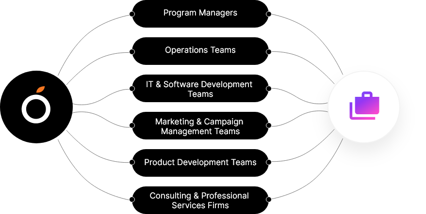 Program Management_image