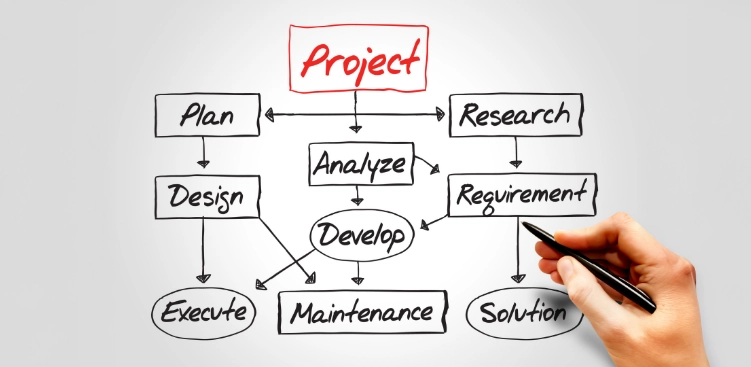 project execution
