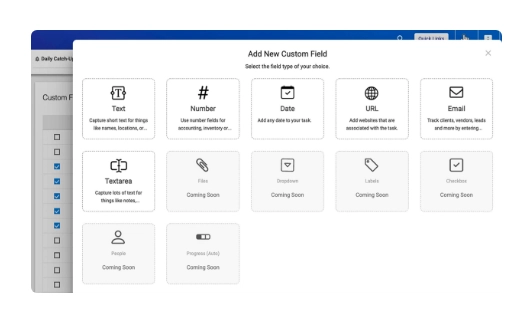 Put additional data in tasks using custom fields