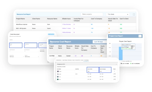 Project Budget & Cost Report