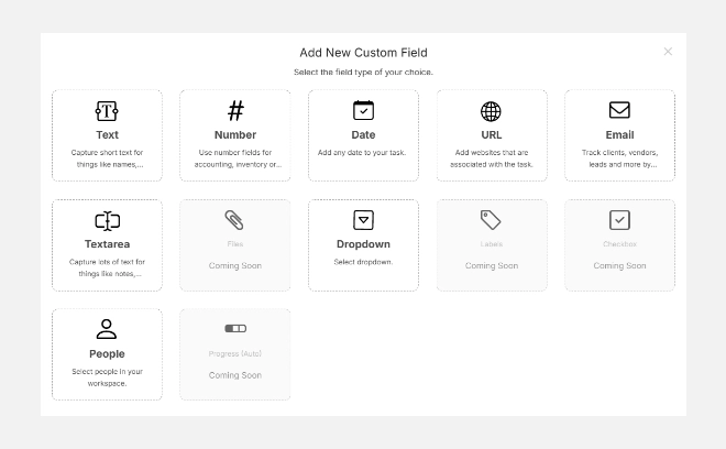 Adding a new custom field