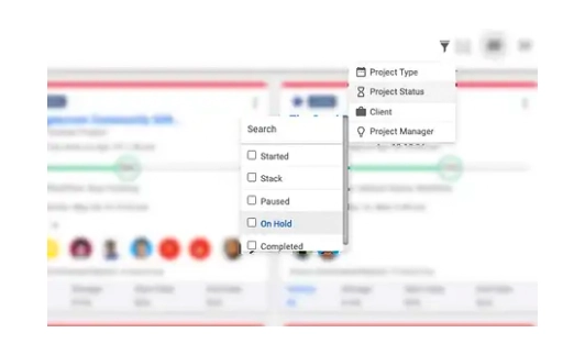 Project Status Filter